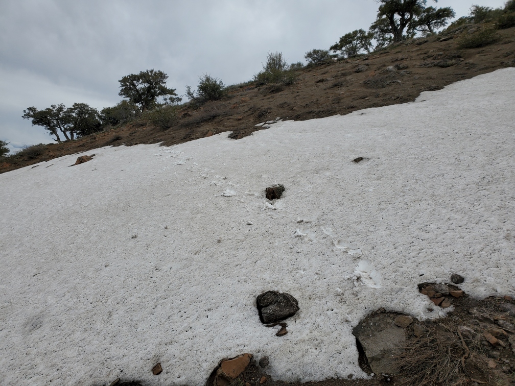 DT-023-2022-05-16 Snowfield Pueblos